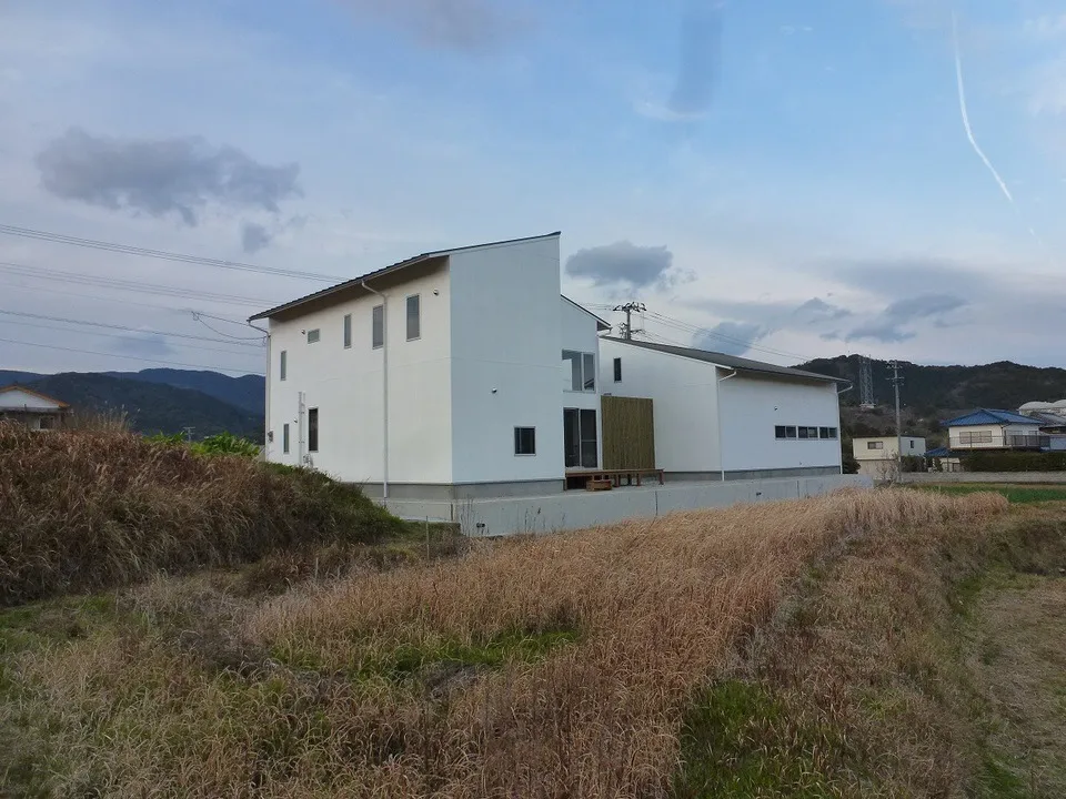 猫たち専用の中庭を挟み、地産の杉材を積極的に使ったアトリエ併用の住宅